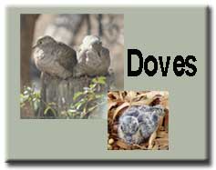 Doves